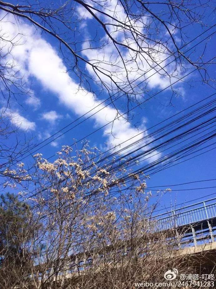 用30秒带你们认识我的家乡天津,如何用三分钟介绍自己的家乡天津