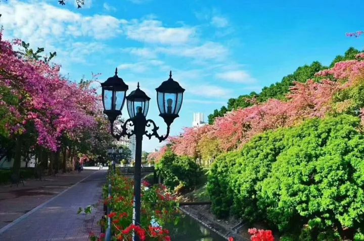 华软科技的趋势,华软科技有多厉害