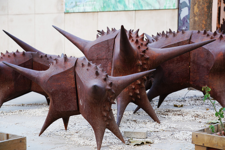 索尼fe24-105mmf4配哪款相机,小巧索尼微单像素高