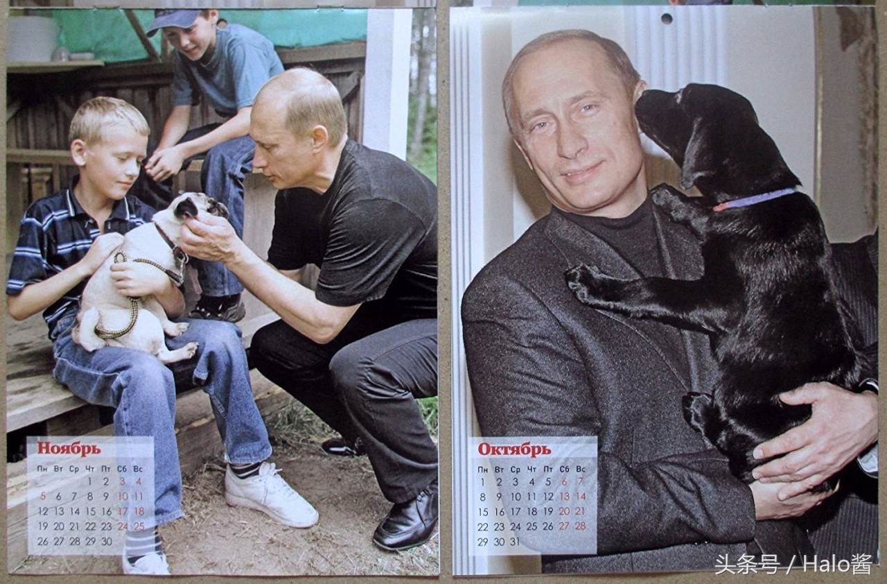普京的所有狗狗照片,普京和他的柴犬