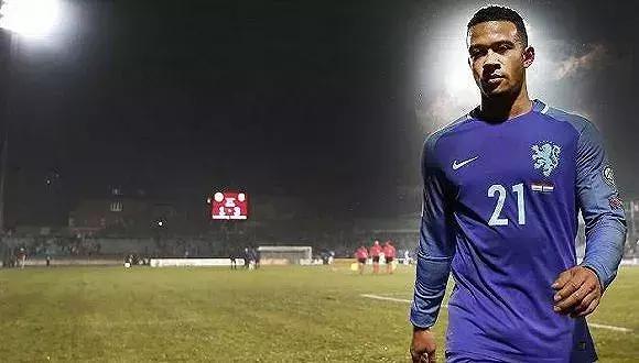 寒风中等待绽放的郁金香——孟菲斯·德佩