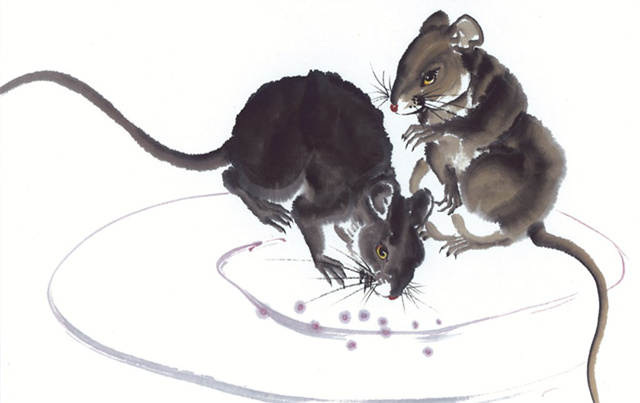 十二生肖哪个是趋吉避凶最灵敏的,12生肖如何化解破财衰运