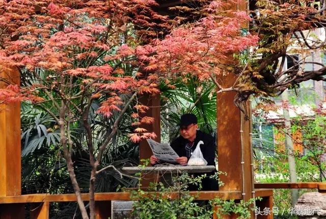 这样的西华泰,谁敢住!