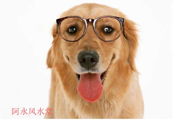 属相犯太岁和八字犯太岁的区别,犯太岁什么意思最佳解决方法