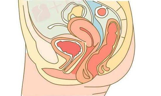 高发病率的宫颈炎患上该病真的不需要治疗吗？