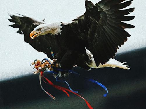 英超球队绰号大全图片,英超球队外号大全