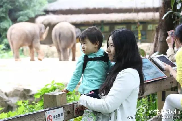 广州长隆亲子游最省钱攻略,广州长隆亲子游最全游玩攻略