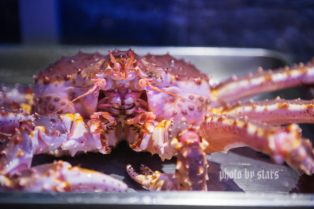 又一家暖爆上海冬天的网红黄金锅,让你穿越TVB