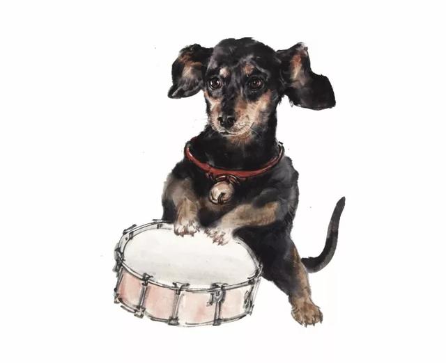 画十二生肖里的狗,晁谷画猫