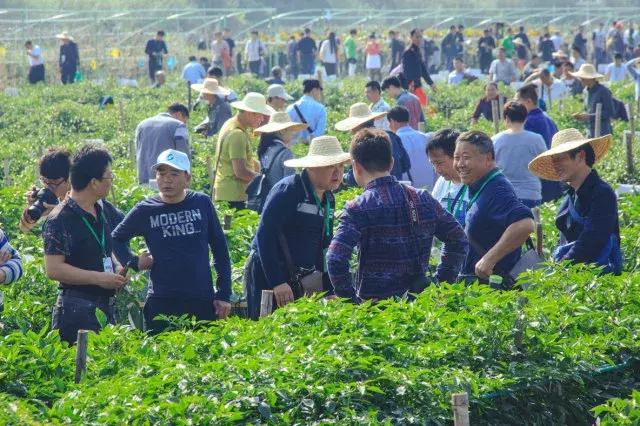 住博会广州,广东住博会