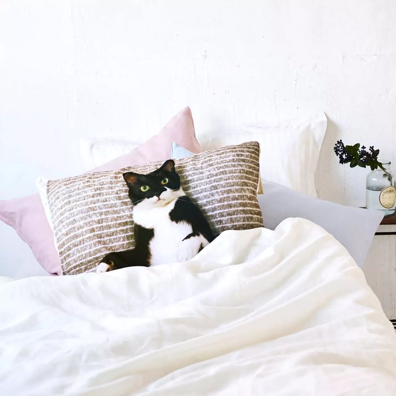 对不起，不能我一个人穷！只能把这些美翻了的猫咪美妆安利给你了