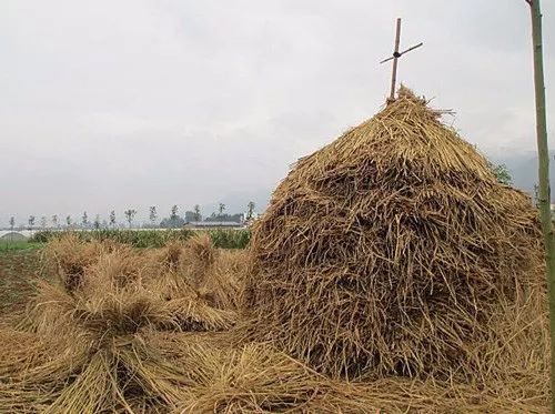 跟“大姨妈”奋战了几千年，揭秘过去女性用过的秘密*器武**！