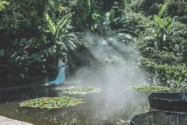 厦门旅游自由行攻略,厦门自由行旅游攻略