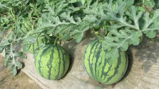 浦东头条新闻,浦东新区新闻头条最新