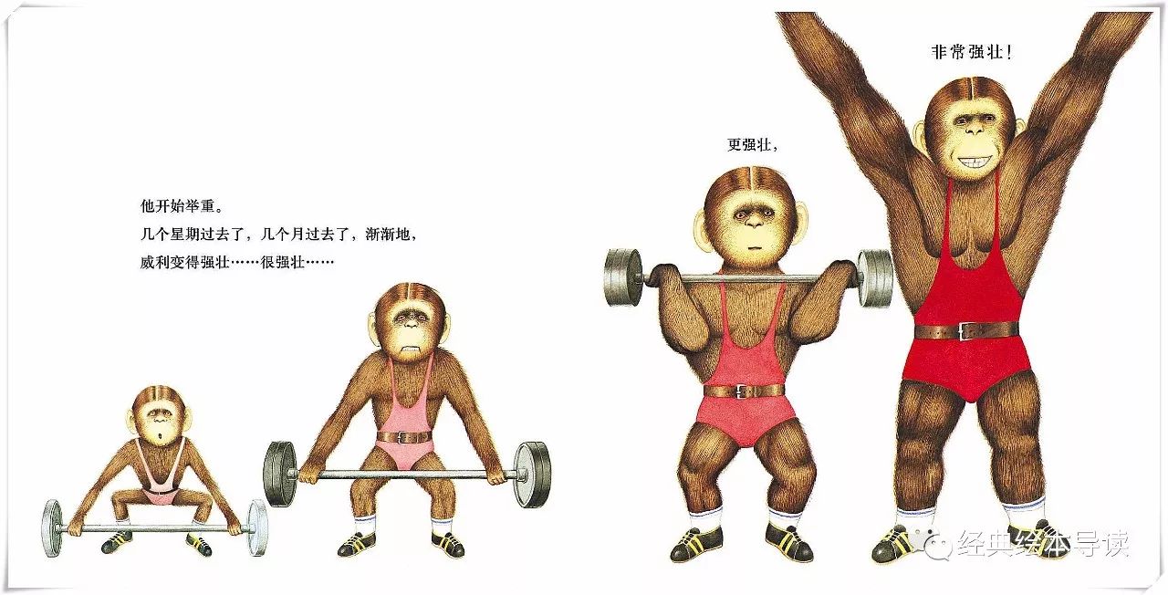 强壮才是找回自信的捷径—《胆小鬼威利》导读