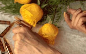 安瓶排名榜第一,十大品牌安瓶哪个牌子好