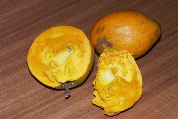 去三亚带什么特产好一点,三亚旅游有什么特产可以带回来