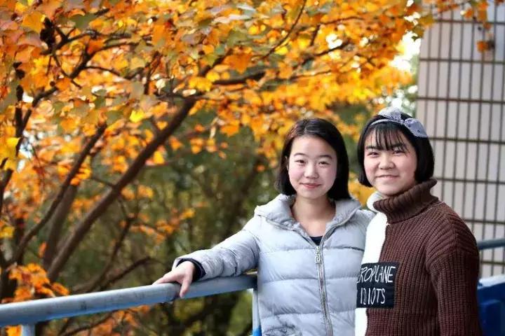 江西省上栗中学排名,江西省教育厅上栗中学