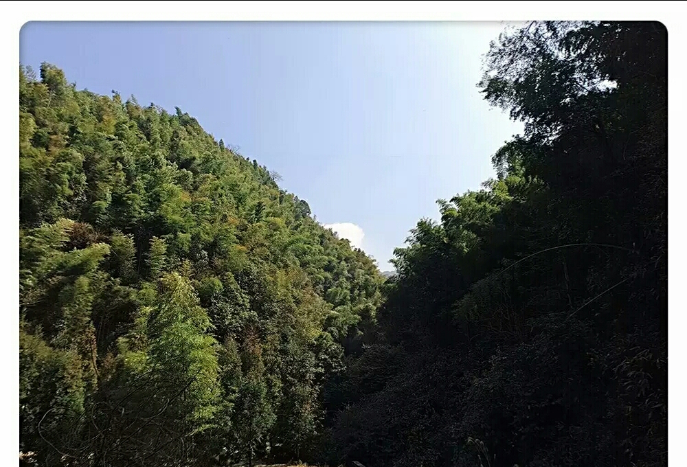 高山生态养殖石蛙,石蛙养殖海拔