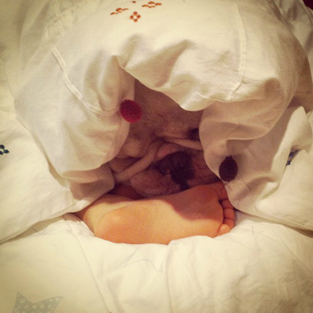 狗狗感冒可以吃速效感冒胶囊吗,狗狗感冒可以吃感冒冲剂吗