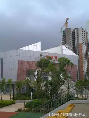 昆十中学校怎么样,昆十中文科实力