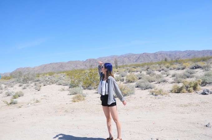 美西旅游攻略2月,美西小环线旅游攻略