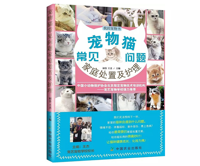 这都不知道，还敢说你会养猫？