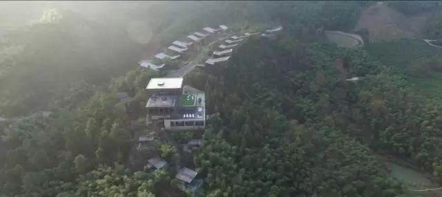 离城市不远靠自然很近,离城市不远却离自然很近完整版