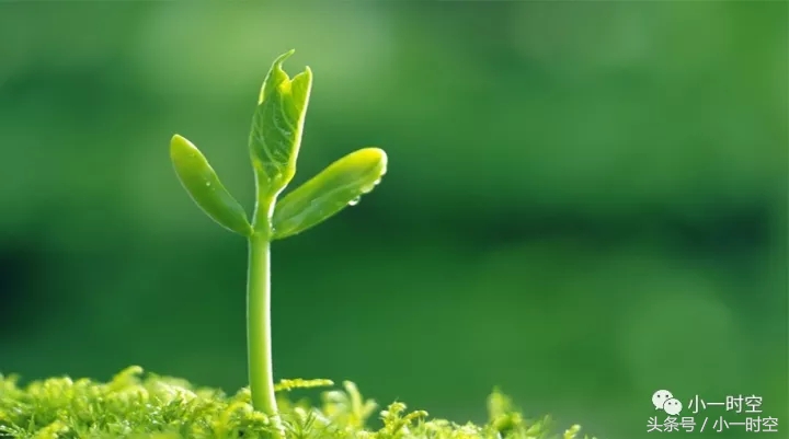 血友病基因治疗一期成功了几个人,最新基因治疗根治血友病