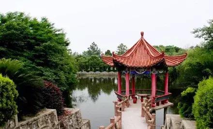 武汉市东西湖区柑橘采摘园,武汉采摘园橘子