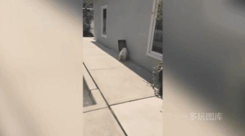 搞笑gif趣图舔冰激凌,少林龙爪手搞笑图片图文