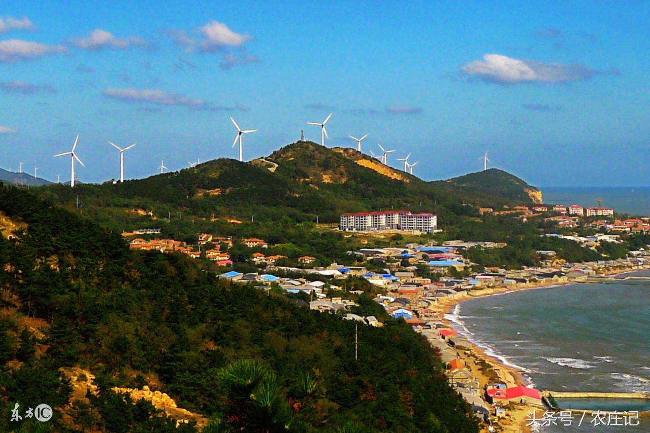 长岛十大渔家乐排名,长岛当地渔家乐三日游口碑排名