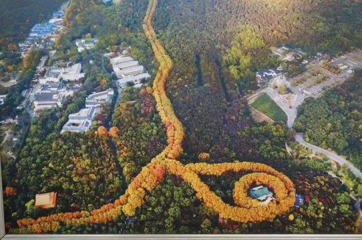 12月西安去哪里机票最便宜,11月特价机票清单西安出发