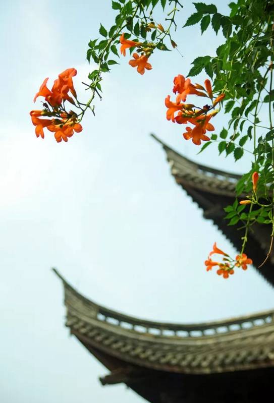 行路难诗词鉴赏,诗词赏析