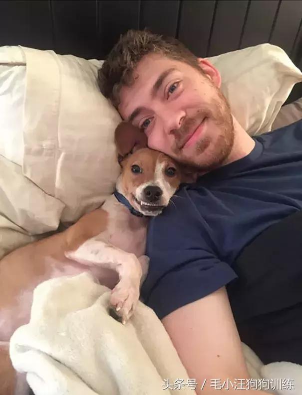 养了这么久的狗竟然又初恋了,养了多年的狗突然接近我