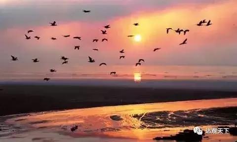 黄鹤楼的前世今生英文,黄鹤楼历史文化介绍