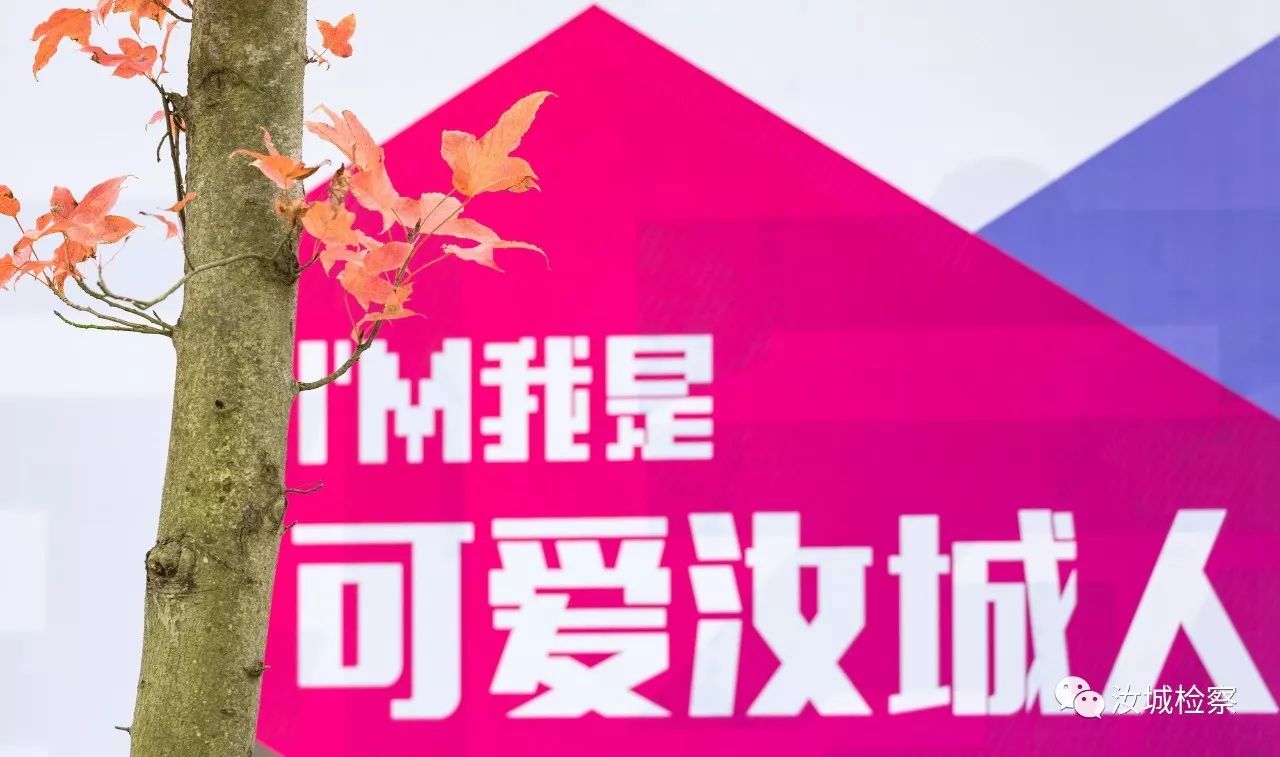 听莫言的蛙读后感,莫言的小说蛙读后感