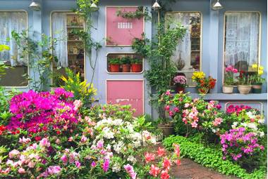 上海吃货网红打卡地排行,上海吃的特色小吃网红打卡