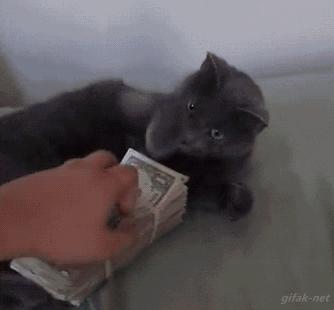 电子手表血糖仪,电子血糖仪哪个牌子最好最准