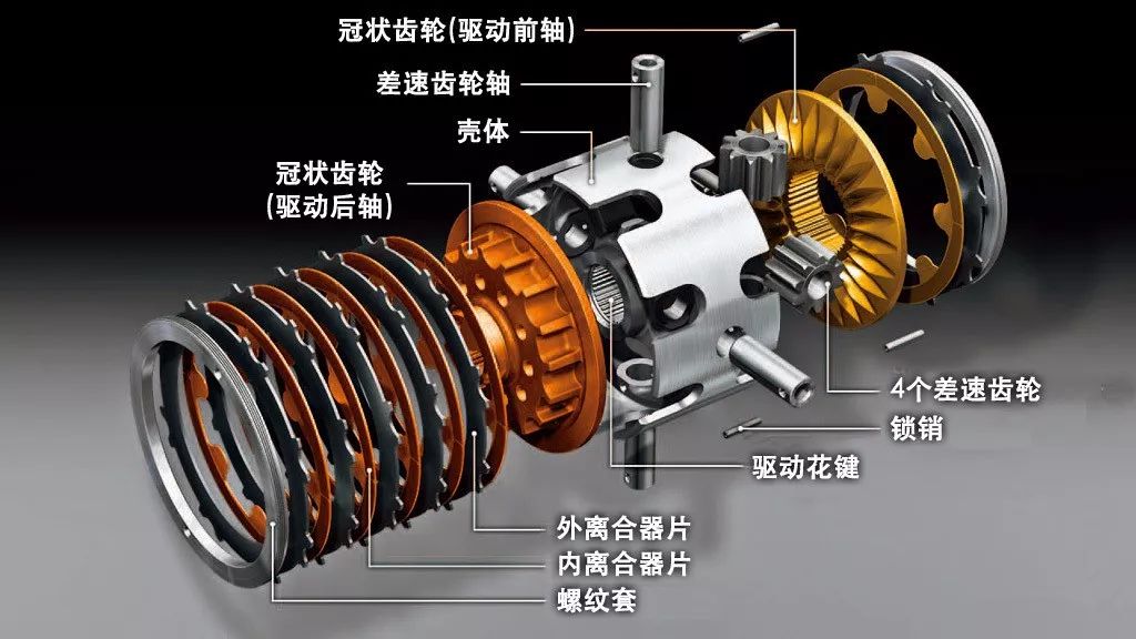 奥迪quattro壁虎,奥迪quattro壁虎标志