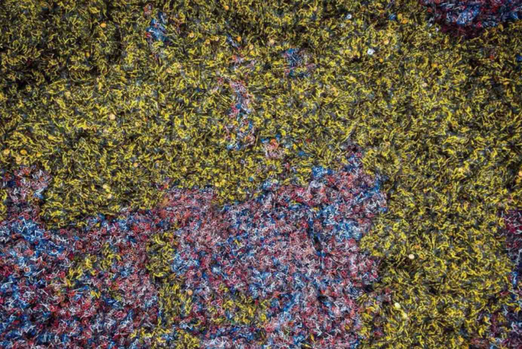 特稿|抱大腿、下三线、往海外……共享单车第二梯队生存状况大调查