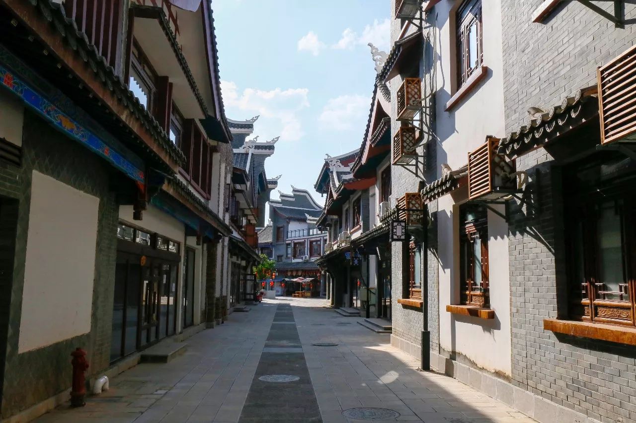 黔南原始森林风景,遇见森林风景