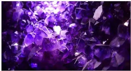 教育从新开始,教育从春天出发