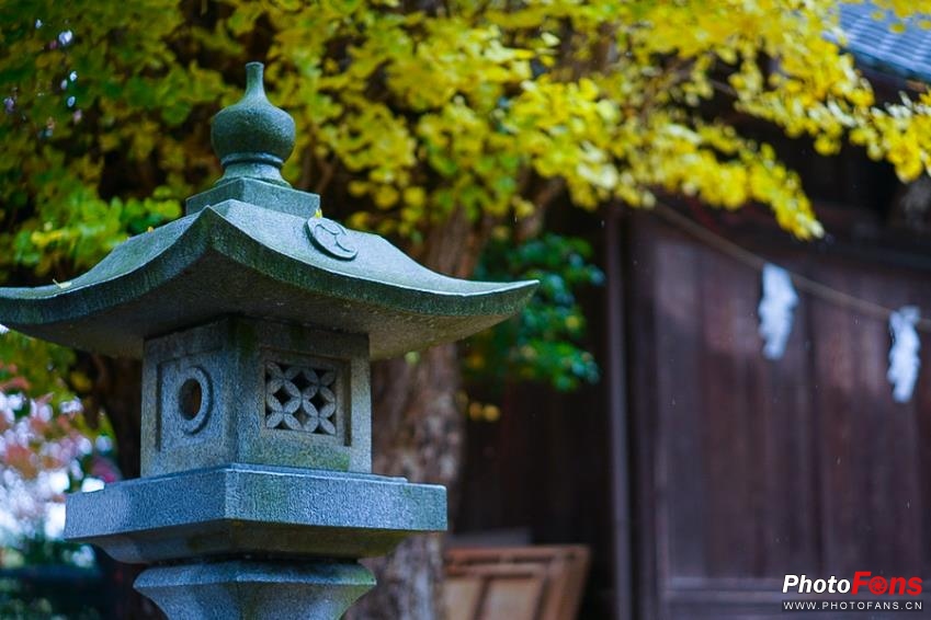 eosm6杩炵画鎷嶆憚,浣宠兘eosm6