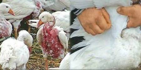 豆瓣日记momo,豆瓣日记