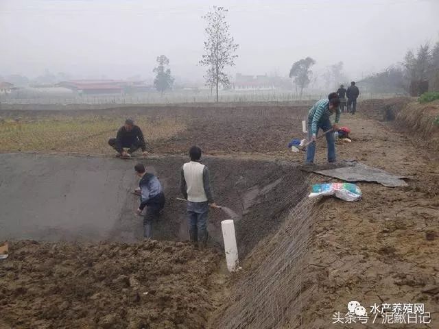 池塘老水怎么处理最好,池塘里漏水怎么办