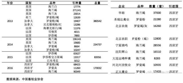 2020年中国蛋鸡业的规模,蛋鸡行业分析报告