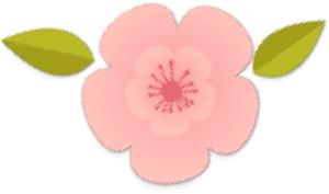 一夜之间，杭州姑娘账上突然多了一大笔资金！背后牵出惊人秘密……