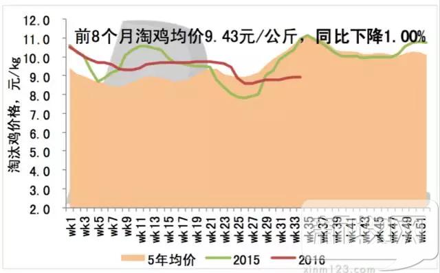 2020年中国蛋鸡业的规模,蛋鸡行业分析报告