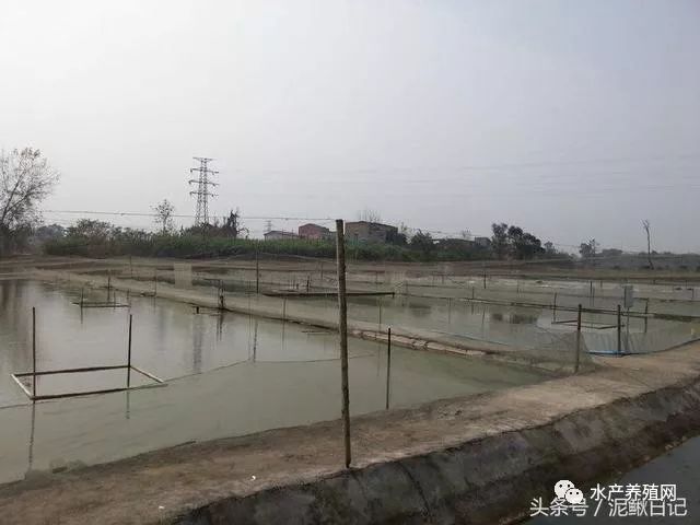 池塘会渗水漏水？老司机教你这么做，效果挺好的！